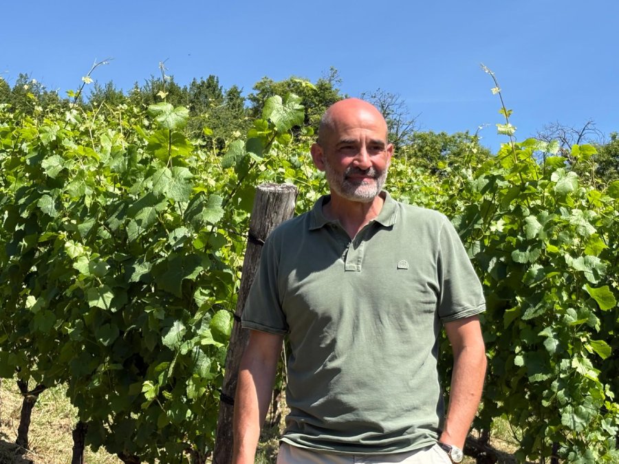 Michele Lorenzetti